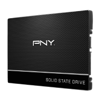 Unidad De Estado Solido Interno 250Gb Pny Cs900 2.5 Sata Lect.535/Escrit.500 Mbs 7Mm Pc/Laptop/Minipc