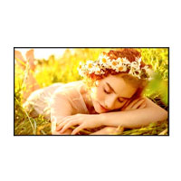 Monitor De Señalizacion Digital Lg De 55 Plg Uso 24/7 Brillo 500 Nits, 8Ms 60Hz Hdmi 3 Hdcp 2.1/1.4 Rs232 Rj45 Usb A 2.0 Salida De Audio Salida Rs232, Webos 6.1 — LG · SKU MNL-3104